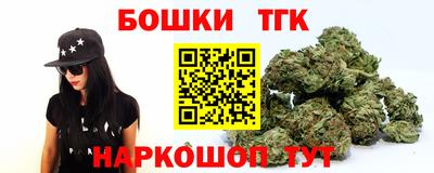 хмурый Кингисепп