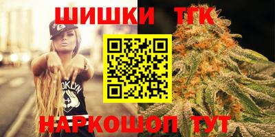 хмурый Кингисепп