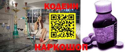 хмурый Кингисепп