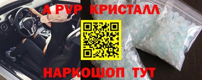 хмурый Кингисепп