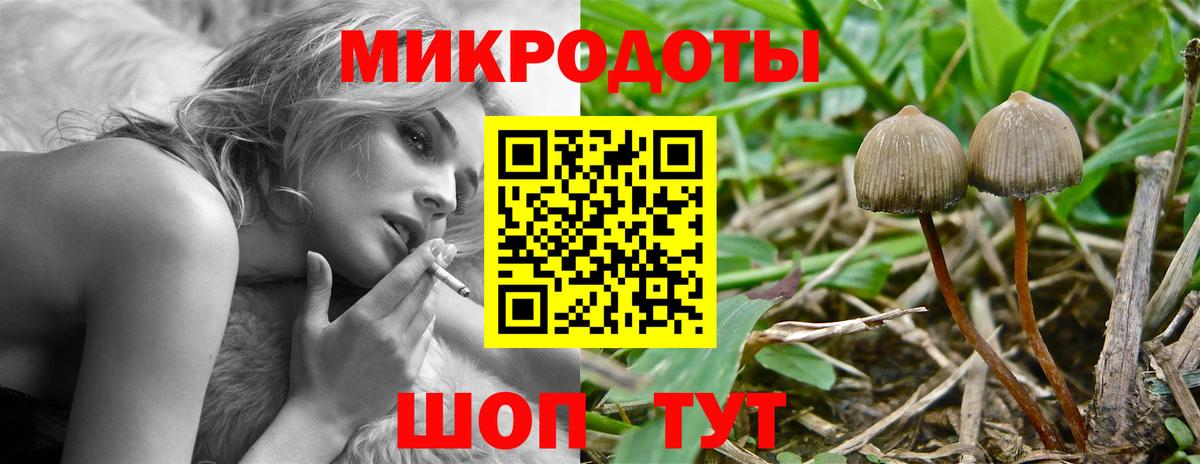 Псилоцибиновые грибы GOLDEN TEACHER Лангепас