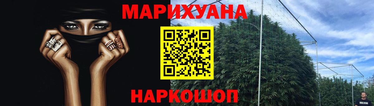 Марихуана сатива Лангепас